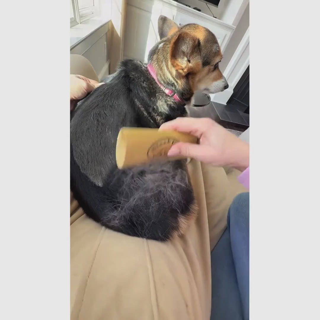 Cepillo deslanador para perros y gatos de 15 cm con mango de madera, ideal para pelo suelto en casa