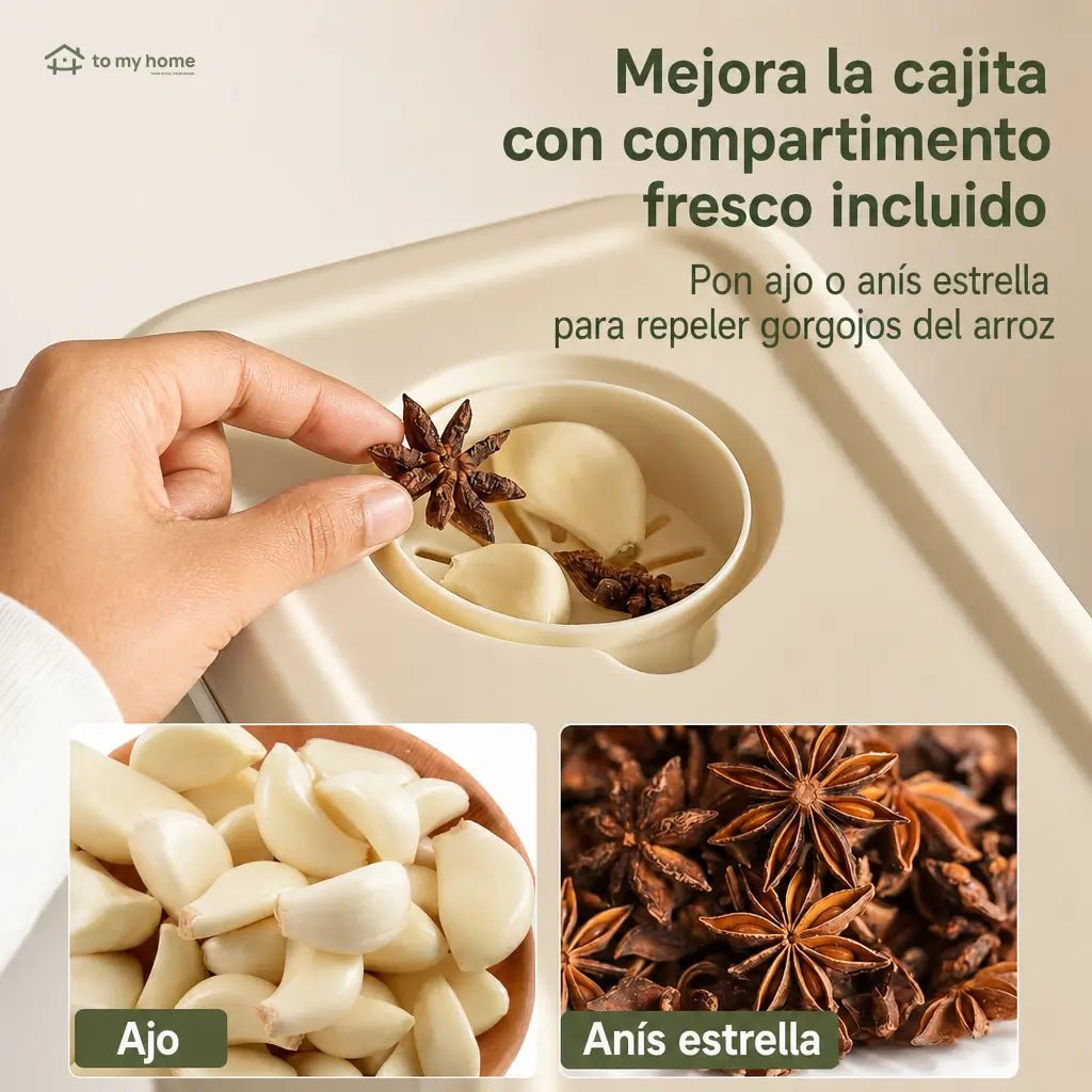 Dispensador hermético de arroz con taza medidora y protección contra insectos para cocina y despensa familiar ordenada de uso diario en casa