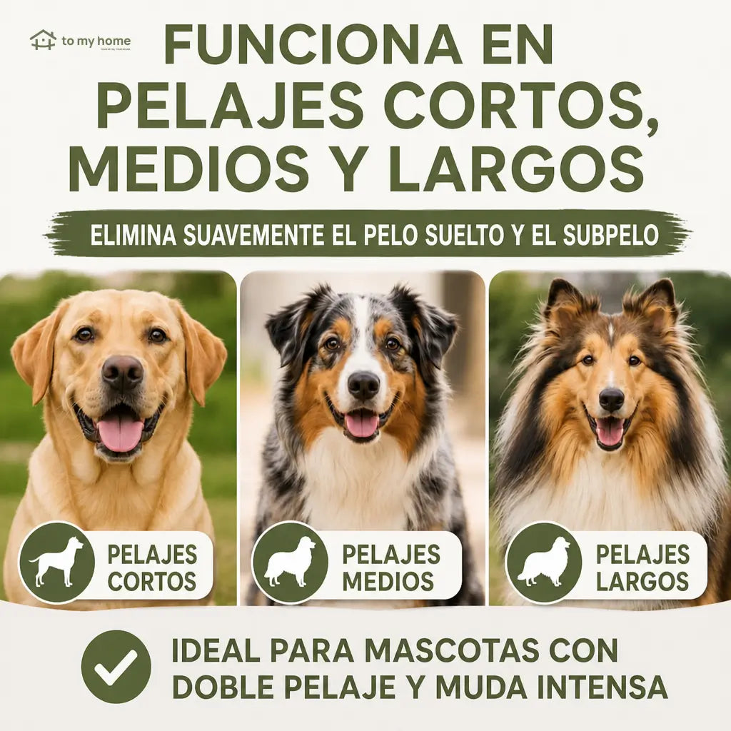 Cepillo deslanador para perros y gatos de 15 cm con mango de madera, ideal para pelo suelto en casa
